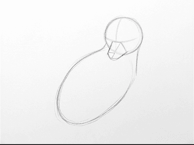 Second stage adding the neck and a pointed muzzle wedge.